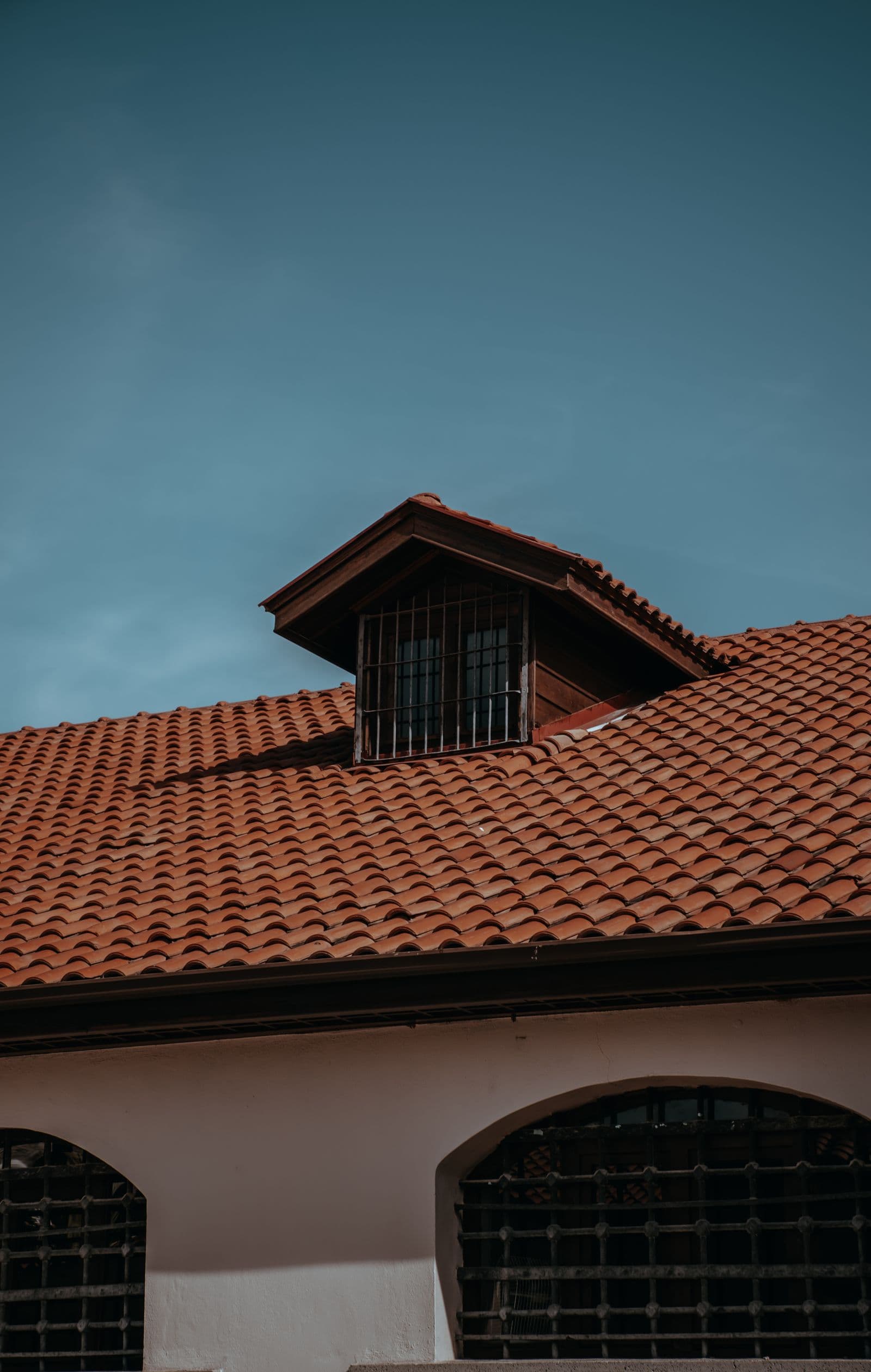 Roof Painting
